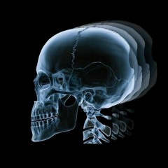 Freestyle Ribar (cover)