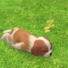 Untitled110 (pierre mix)