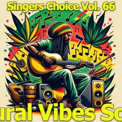NATURAL VIBES SOUND SINGERS CHOICE VOL. 66 REGGAE MIX