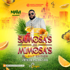 WRO - Samosa's & Mimosa's - Official Promo Mix 1.0 (NaviTheRemixer) ft LeahTheRemixer