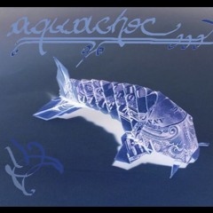 M99 - aquachok (2014)