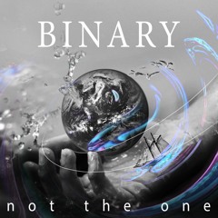 Binary - Not The One