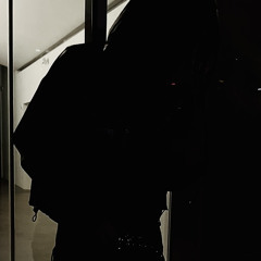 lane switch (wishs, drewreligion, conesem, devan).wav