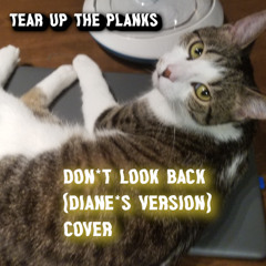 Don't Look Back (Diane's Version) - Cover Demo