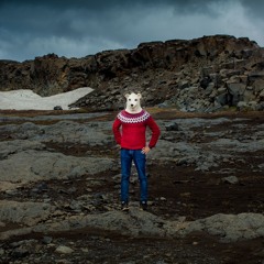 A Rest in me  , Phil and trophy