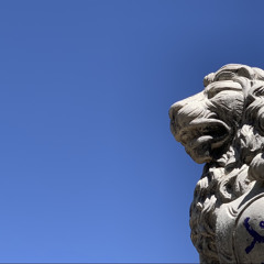 𝐒𝐨𝐧𝐠 𝐨𝐟 𝐍𝐚𝐭𝐮𝐫𝐞 𝟑𝟓𝟏