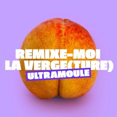 Remixe-Moi La Verge(ture)- PROHOM