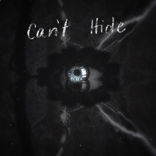 Braxx & Sndwch - Can't Hide