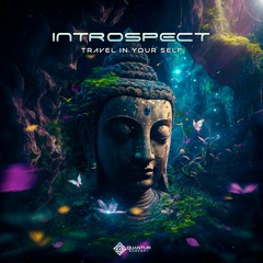 Introspect - Travel In Your Self | Out now