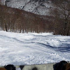 Grey Merchant (Set 5-25-2025)