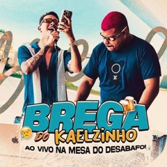 BREGA DO KAELZINHO - Ao Vivo na Mesa do Desabafo_ (CD COMPLETO)(M4A_128K).m4a