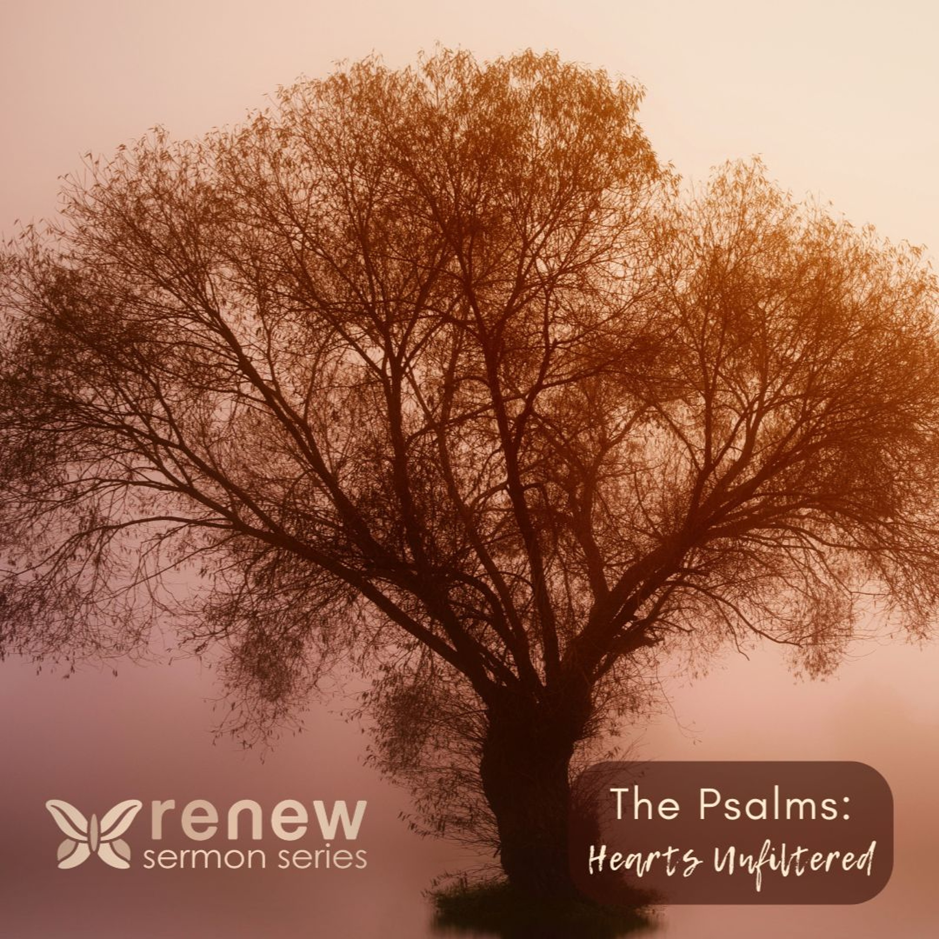 Psalm 62 | Denise Lindberg | 02.08.2026 episode artwork