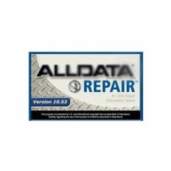 AllData 10.53 (Q3 2013) - European Imports Part 2 Crack