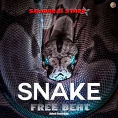 Snake | FREE BEAT 2022 | FREE FOR PROFIT