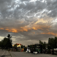 rostki
