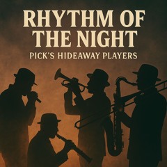 Rhythm of the Night