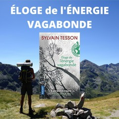Éloge De L'énergie Vagabonde De Sylvain Tesson