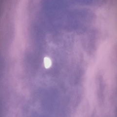 I just asked her.. (prod by heydium)