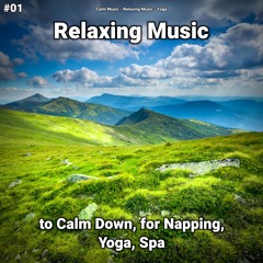 Relaxing Music Pt. 16
