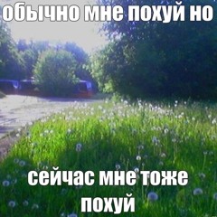 кпоп спд ап