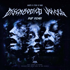 MITS, T33, NKI - DISEMBODIED VOICES (DUIF REMIX) [X.Ø. MSTR]