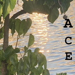 Never do that to you