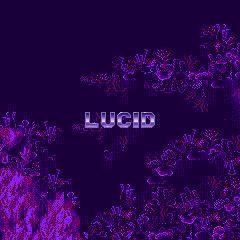 Lucid