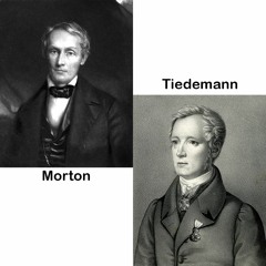 Morton-Tiedemann-Gould
