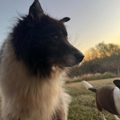 4. Abend im Hochgebirge(Evening in the Mountains) - Edvard Grieg(1843-1907).m4a