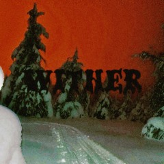 Wither (Prod. Plezi)