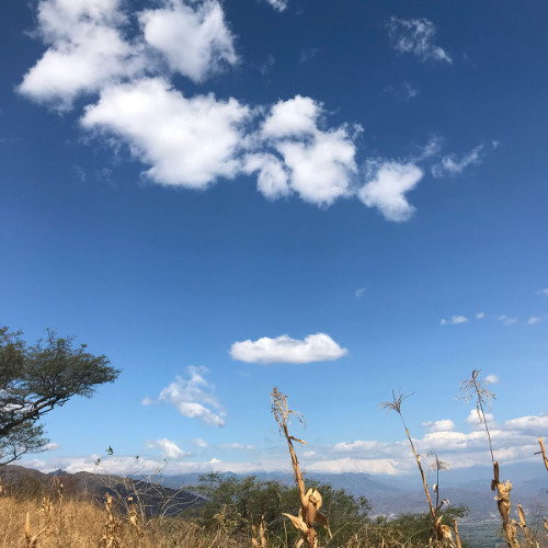 La mirada y pregunta