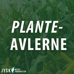 Planteavlerne 2025 - E36: Update m. Jens Bach
