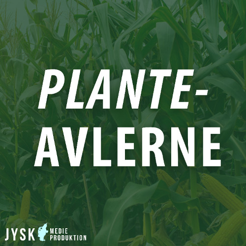 Planteavlerne 2025 - E46: Q&A med Finn!