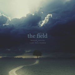 The Field - M. Lucchi & Y. Polchenko