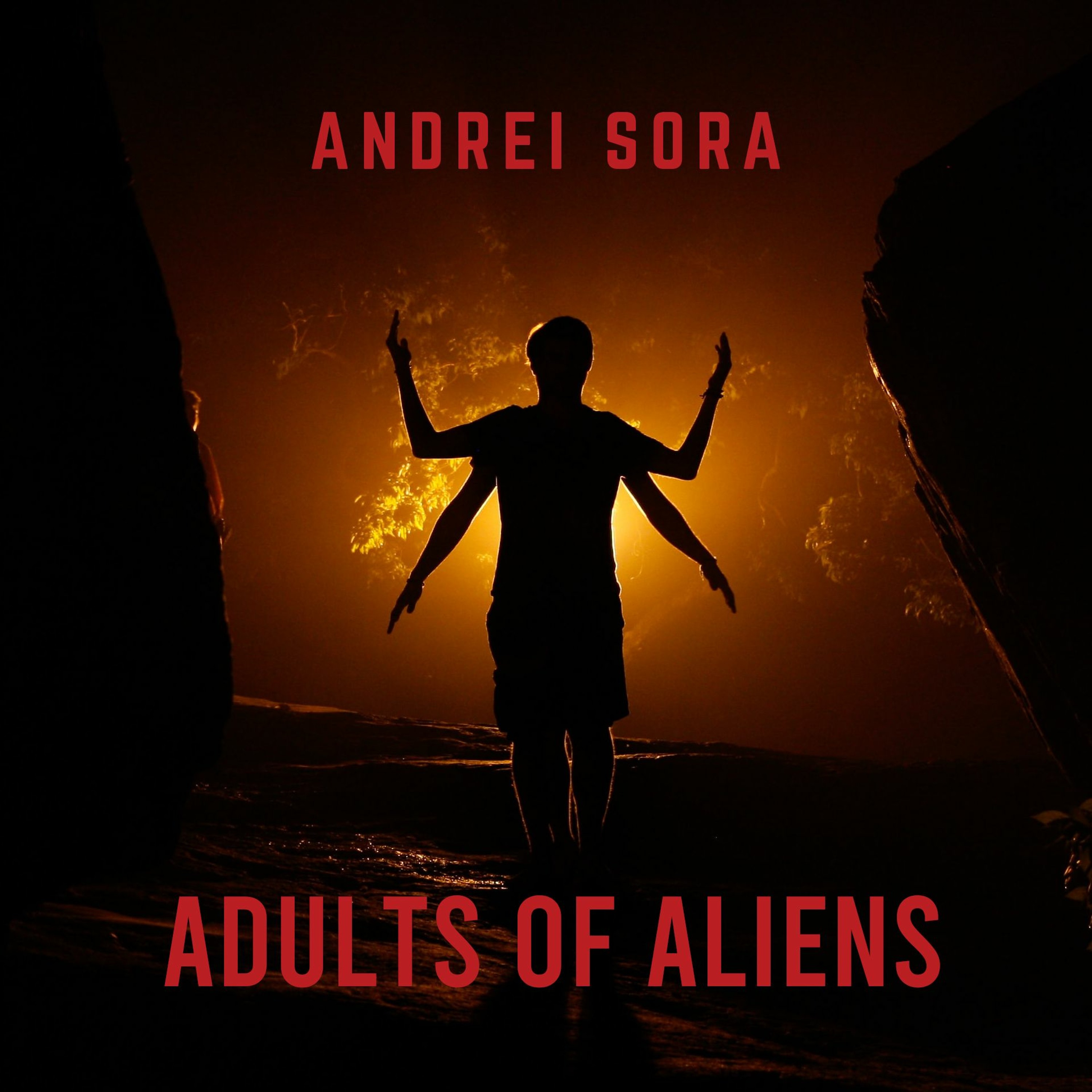 Andrei Sora
