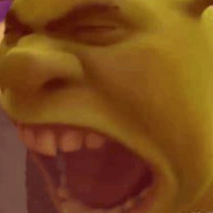 play this for your schizo loser friend