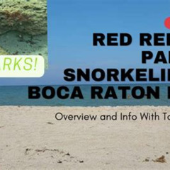 Best Red Reef Boca Raton Snorkeling Prices Reviews