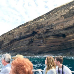 Review Special Price Molokini Crater Zodiac Adventure: Snorkel And Turtle Cove Swim