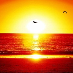 The Midnight - Sunset (SebeQ Bootleg)