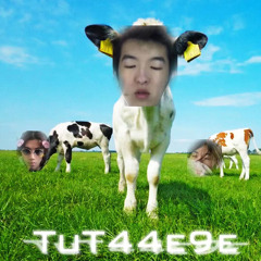 TuT44e9e w/ nighteye & 土雨