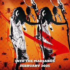 Into The Madlands  - Feb - 2025
