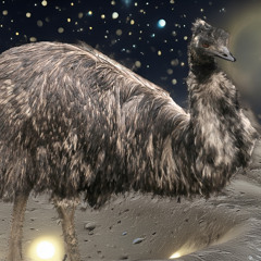 Some Stupid Love Song