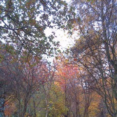 A Musical Oasis Op. 13, No. 1. Copyright © Composed And Played By Dr Michael Spacie.