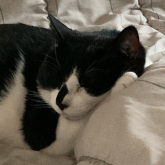 기다린만큼 더 연습~