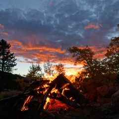 Organik Campfire Seshonz Ft. Austin