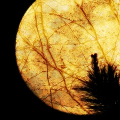 Yellow Moon