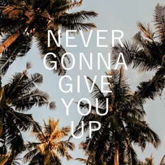 Never Gonna Give You Up (feat. Hannah Trigwell)