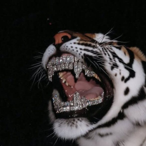 FRANGIBLE | prod. Sapjer