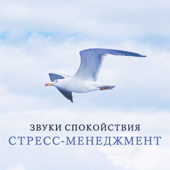 Тибетские чаши