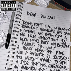 Dear Pelican…